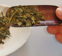 foglie_hojicha