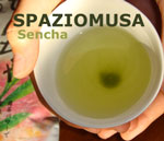 logo_sencha